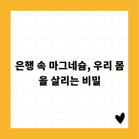 은행 속 마그네슘, 우리 몸을 살리는 비밀
