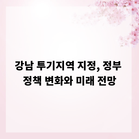 강남 투기지역 지정, 정부 정책 변화와 미래 전망