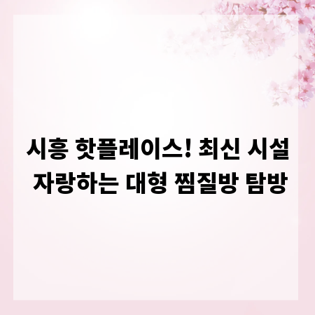 시흥 핫플레이스! 최신 시설 자랑하는 대형 찜질방 탐방