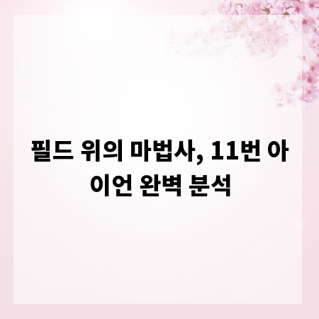 필드 위의 마법사, 11번 아이언 완벽 분석