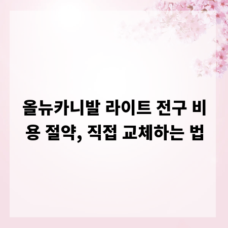 올뉴카니발 라이트 전구 비용 절약, 직접 교체하는 법