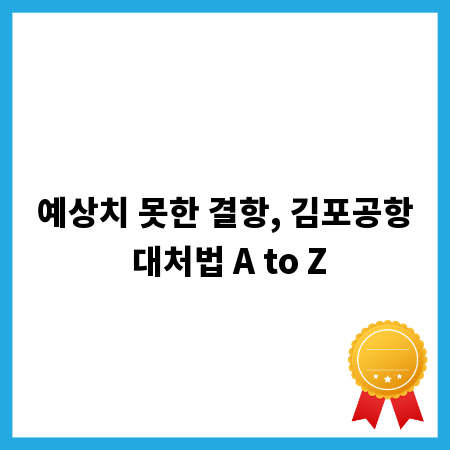 예상치 못한 결항, 김포공항 대처법 A to Z