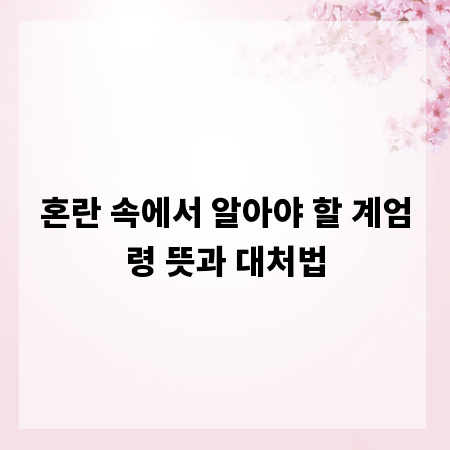 혼란 속에서 알아야 할 계엄령 뜻과 대처법