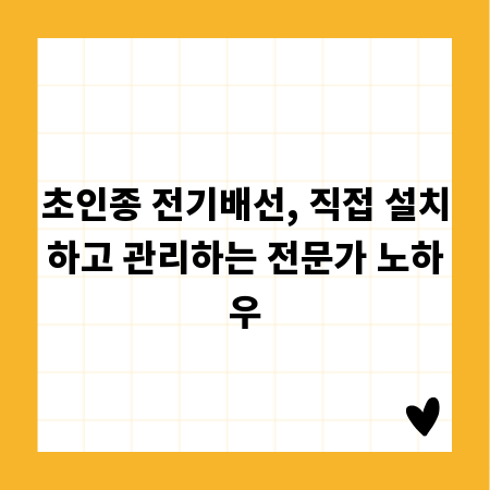 초인종 전기배선, 직접 설치하고 관리하는 전문가 노하우