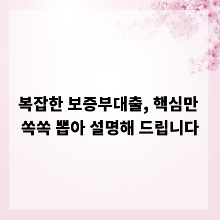 복잡한 보증부대출, 핵심만 쏙쏙 뽑아 설명해 드립니다