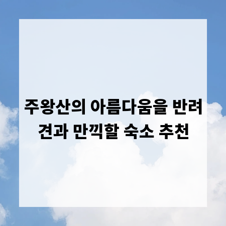 주왕산의 아름다움을 반려견과 만끽할 숙소 추천