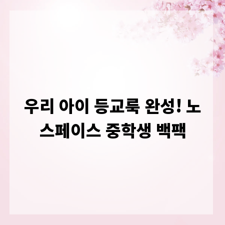 우리 아이 등교룩 완성! 노스페이스 중학생 백팩