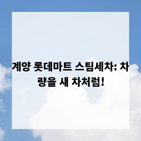계양 롯데마트 스팀세차: 차량을 새 차처럼!