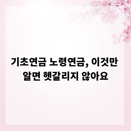 기초연금 노령연금, 이것만 알면 헷갈리지 않아요