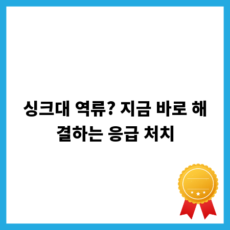 싱크대 역류? 지금 바로 해결하는 응급 처치