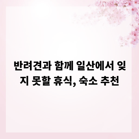 반려견과 함께 일산에서 잊지 못할 휴식, 숙소 추천