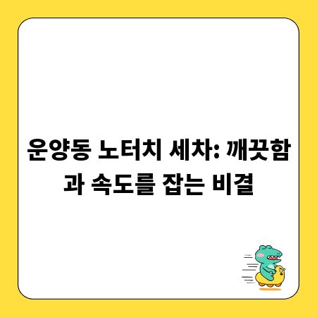 운양동 노터치 세차: 깨끗함과 속도를 잡는 비결