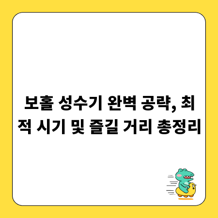 보홀 성수기 완벽 공략, 최적 시기 및 즐길 거리 총정리