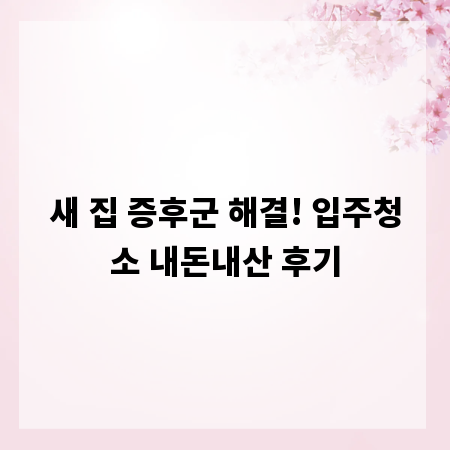 새 집 증후군 해결! 입주청소 내돈내산 후기