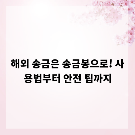 해외 송금은 송금봉으로! 사용법부터 안전 팁까지