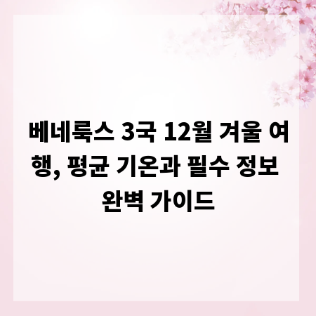 베네룩스 3국 12월 겨울 여행, 평균 기온과 필수 정보 완벽 가이드