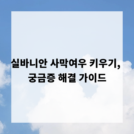 실바니안 사막여우 키우기, 궁금증 해결 가이드