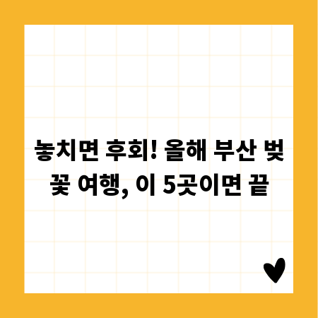놓치면 후회! 올해 부산 벚꽃 여행, 이 5곳이면 끝