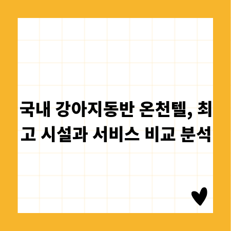 국내 강아지동반 온천텔, 최고 시설과 서비스 비교 분석