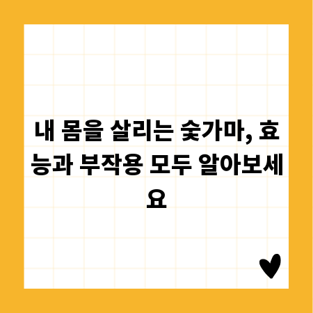 내 몸을 살리는 숯가마, 효능과 부작용 모두 알아보세요