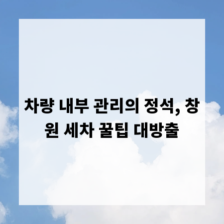 차량 내부 관리의 정석, 창원 세차 꿀팁 대방출