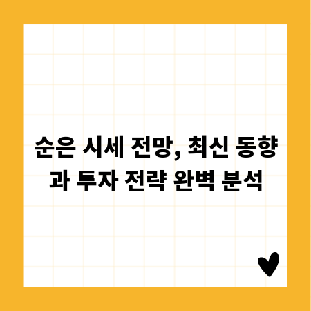 순은 시세 전망, 최신 동향과 투자 전략 완벽 분석